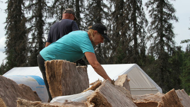 Imagen de Construyendo Alaska: Sobrecarga - 2