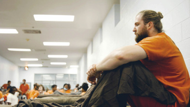 Imagen de El sistema penal de...: La libertad no es libre - 2