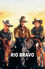 Imagen de Río Bravo - 1