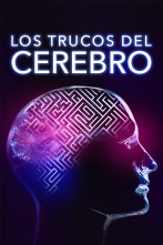 Imagen de Los trucos del cerebro  - 1