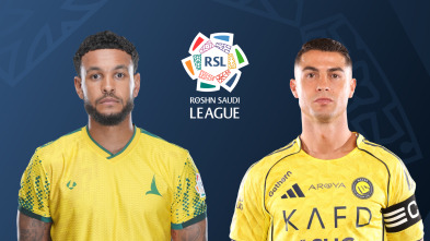 Imagen de Jornada 26: Al Khaleej - Al Nasser - 2