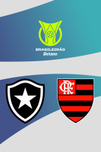 Imagen de Jornada 6: Botafogo - Flamengo - 1