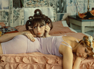 Imagen de Las margaritas - 10