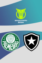 Imagen de Jornada 7: Palmeiras - Botafogo - 1