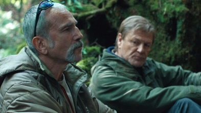 Imagen de Anémona - 3