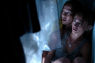 Imagen de Primate - 3