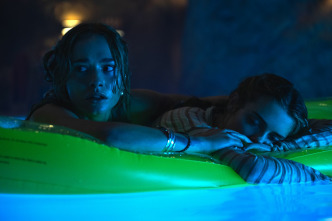 Imagen de Primate - 4