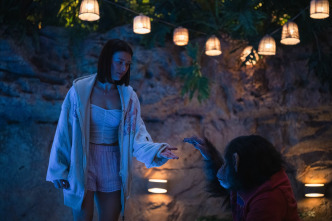 Imagen de Primate - 7