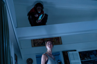 Imagen de Primate - 8