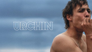 Imagen de (LSE) - Urchin - 2