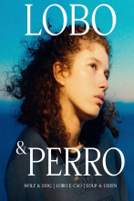 Imagen de Lobo & Perro - 1