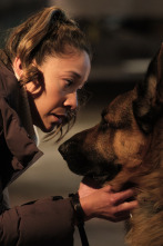 Imagen de Hudson y Rex (T8): Ep.7 Rex Criminal - 1