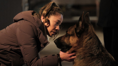 Imagen de Hudson y Rex (T8): Ep.7 Rex Criminal - 2