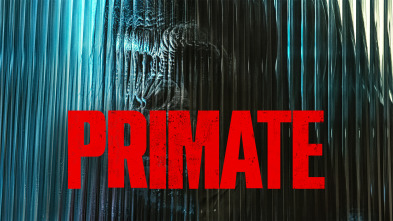 Imagen de Primate - 2