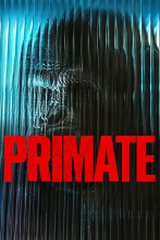 Imagen de Primate - 1