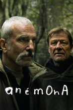 Imagen de Anémona - 1