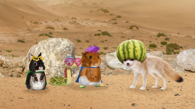 Imagen de Wonder Pets en la... (T2): Salvan al zorro del desierto / Salvan a la tortuga gigante - 2