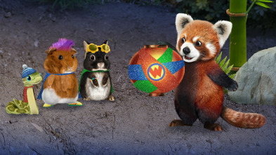 Imagen de Wonder Pets en la... (T2): Ayudan al panda rojo / Ayudan a los pájaros cantores a escribir una canción - 2