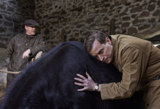 Imagen de Todas las... (T6): Ep.4 Jenny Wren - 2