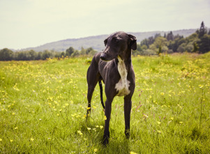 Imagen de Todas las... (T6): Ep.5 Correcciones - 5