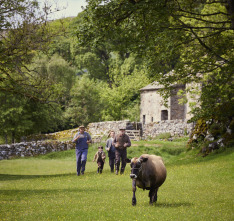 Imagen de Todas las... (T6): Ep.6 Nuestros corazones están llenos - 1