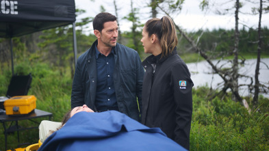 Imagen de Hudson y Rex (T8): Ep.8 A vista de pájaro - 2