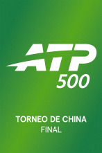 Imagen de Final: Djokovic - De Miñaur - 3