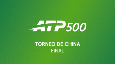 Imagen de Final: Djokovic - De Miñaur - 4