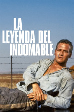 Imagen de La leyenda del indomable - 1