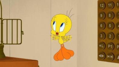 Imagen de Looney Tunes... (T6): Piolín en un hotel / El mago Lucas: Cortado por la mitad / Un menú desértico - 3