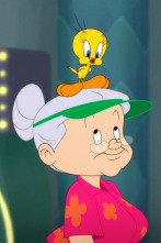 Imagen de Looney Tunes... (T6): Un gato sin suerte / Un amor espinoso - 2