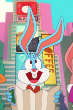 Imagen de Tiny Toons:... (T1): Festival de primavera: segunda parte - 1