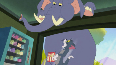 Imagen de Tom y Jerry en... (T1): Paz en el museo / Ven aquí, cometita / Callejeros / La historia del camaleón - 2