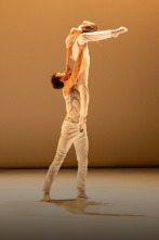 Imagen de Rodin - Ballet Julien Lestel - 1