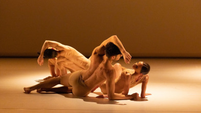 Imagen de Rodin - Ballet Julien Lestel - 2