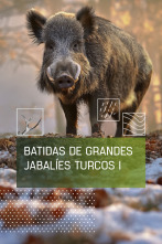 Imagen de Batidas de grandes jabalies turcos. 1ª parte - 1