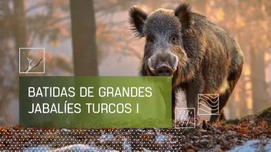 Imagen de Batidas de grandes jabalies turcos. 1ª parte - 2