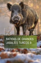 Imagen de Batidas de grandes jabalies turcos. 2ª parte - 1