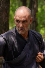 Imagen de Rito de paso de... (T1): Shaolin - 1