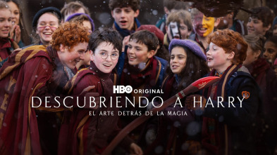Imagen de Descubriendo a Harry: el arte detrás de la magia - 2