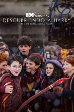 Imagen de Descubriendo a Harry: el arte detrás de la magia - 1