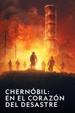 Imagen de Chernóbil: en el...: Secuelas - 1
