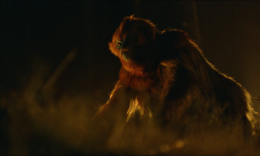 Imagen de La leyenda de Ochi - 12
