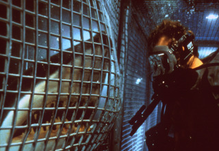 Imagen de Deep Blue Sea - 7