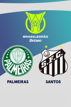 Imagen de Jornada 14: Palmeiras - Santos - 1