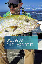 Imagen de Gallegos en el Mar Rojo - 1