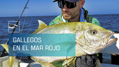 Imagen de Gallegos en el Mar Rojo - 2