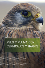 Imagen de Pelo y pluma con cérnicalos y harris - 1