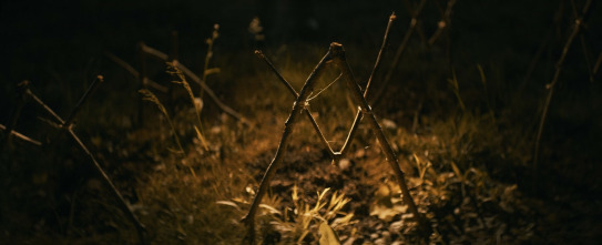 Imagen de La maldición de Shelby Oaks - 4