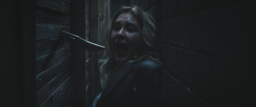 Imagen de Scream 7 - 4